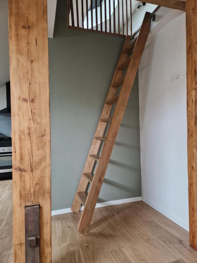 Les Appartements De Romain Et Julien Dijon Exterior photo