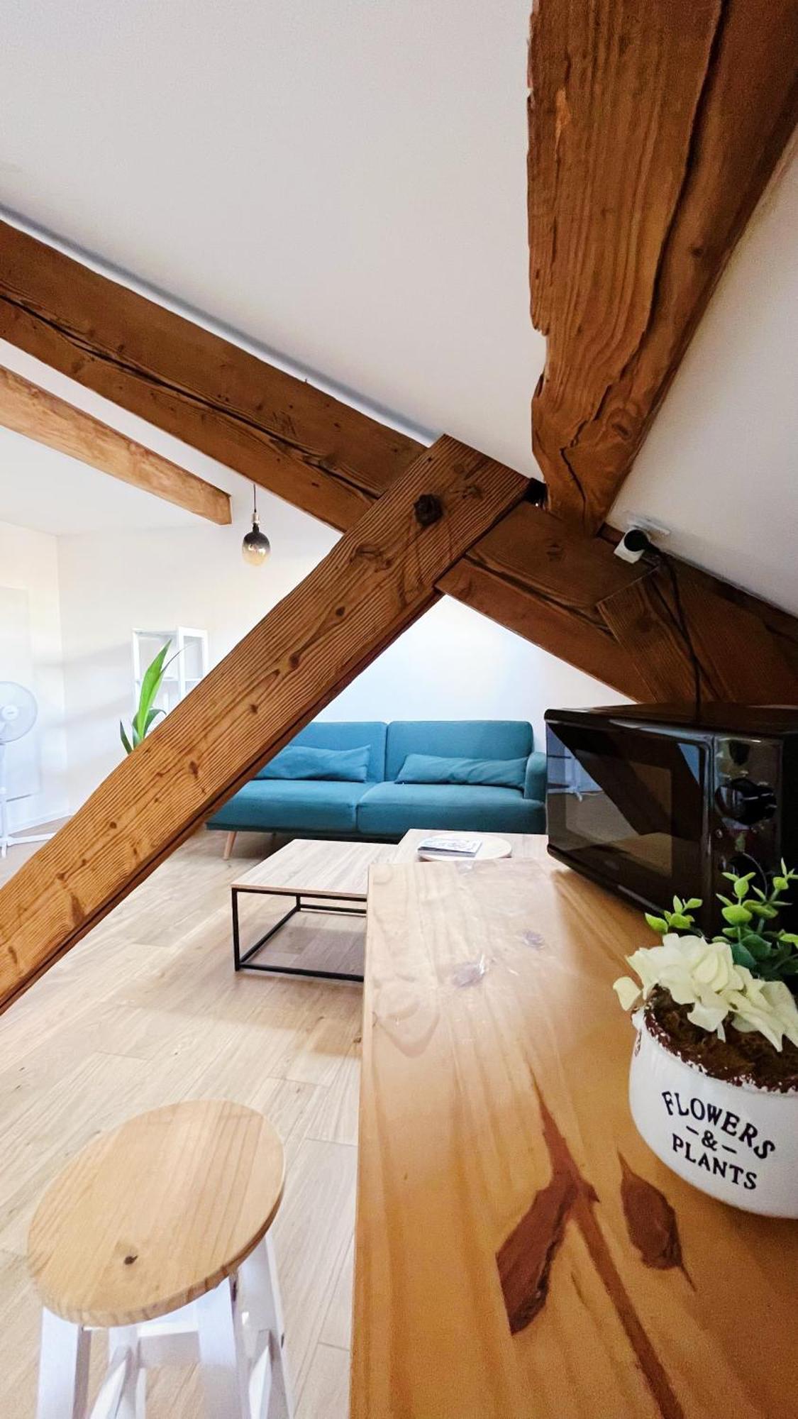 Les Appartements De Romain Et Julien Dijon Exterior photo