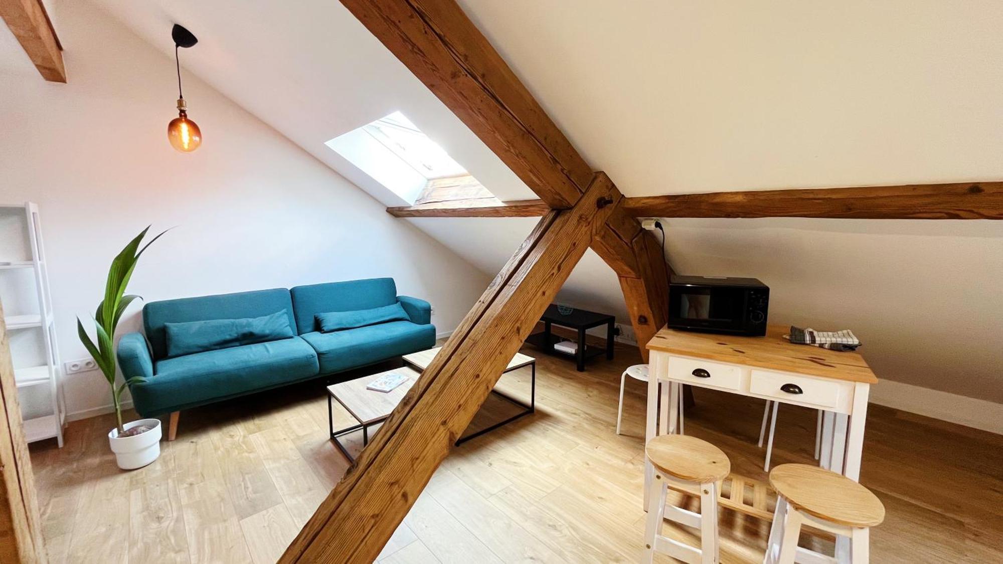 Les Appartements De Romain Et Julien Dijon Exterior photo