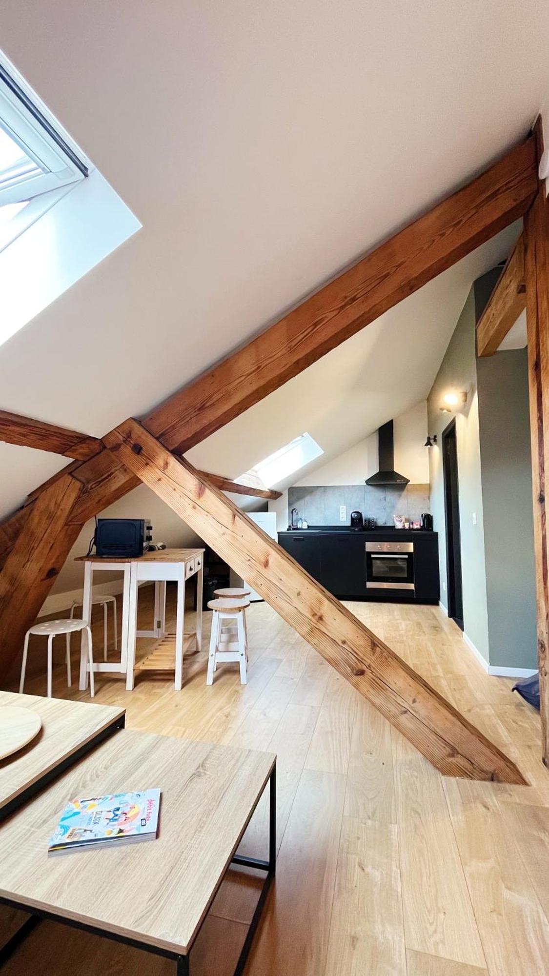Les Appartements De Romain Et Julien Dijon Exterior photo