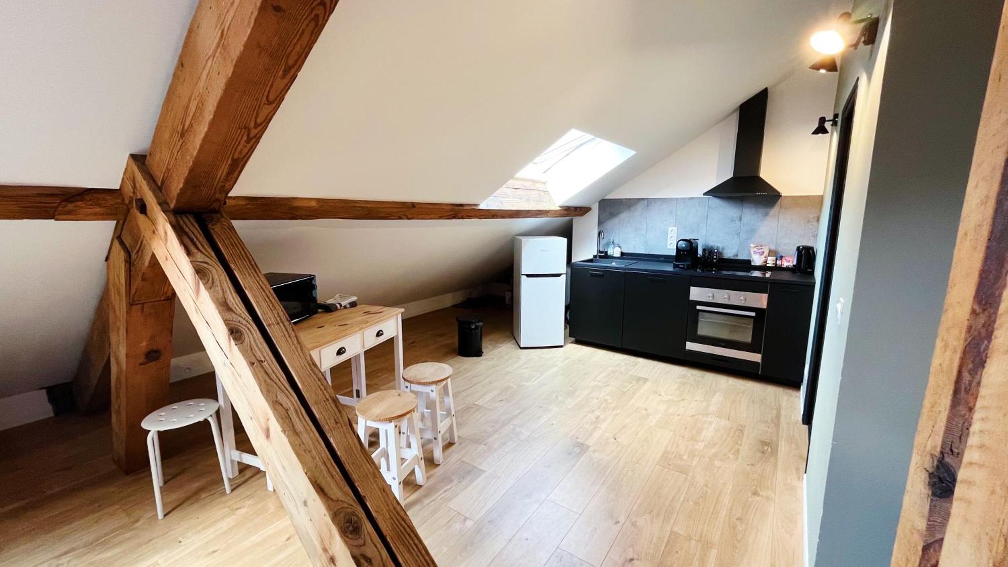 Les Appartements De Romain Et Julien Dijon Exterior photo